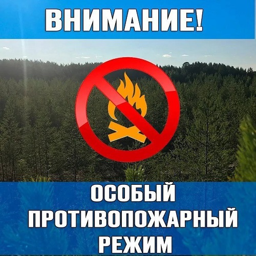 С 15 апреля 2025 года на территории Кабанского района установлен особый противопожарный режим. С 15 апреля 2025 года на территории Кабанского района установлен особый противопожарный режим.